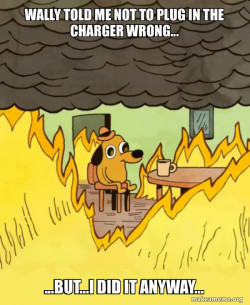 This Is Fine