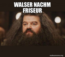 Hagrid - I should not have said that