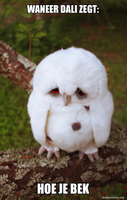 Sad Owl