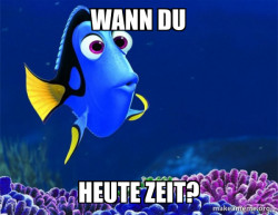 Dory from Nemo  (5 second memory)