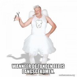 Tooth Fairy