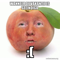 Impeached Donald Trump