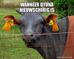 Hairless Cow