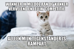 Cute Kitten