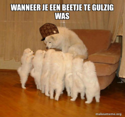 Scumbag Storytelling Dog