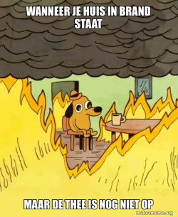 This Is Fine
