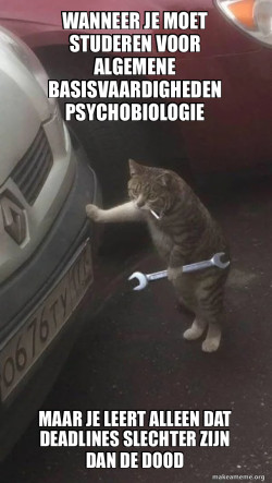 algemene basisvaardigheden over psychobiologie, is geen leuk vak, veel verslagen schrijven veel presentaties en veel deadlines wat je dan net op tijd inlevert wat dan niet eens voor een cijfer is 