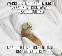ik heb vak acedemische basis