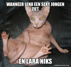 Hairless Cat