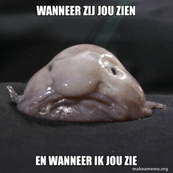 Blobfish