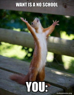 Happy Squirrel