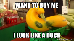 Gourd Advice Mallard