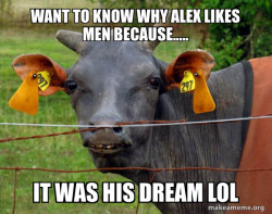 Hairless Cow