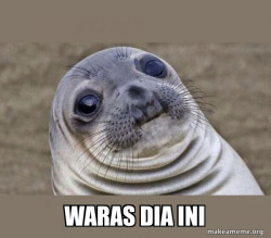 Squeamish Seal