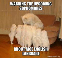 Storytelling Dog