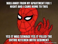 Spiderman - Care factor Zero