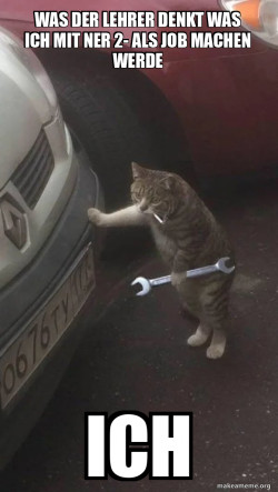 Mechanic Cat