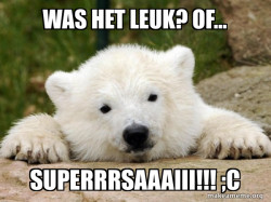 Popular Opinion Bear