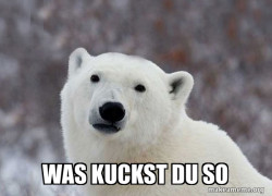 Popular Opinion Polar Bear