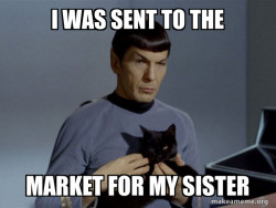 Spock and Cat Meme