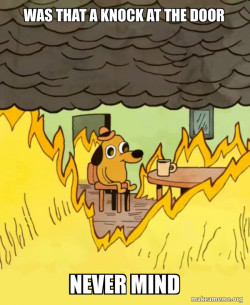 This Is Fine