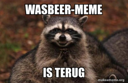 Evil Plotting Raccoon