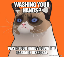 Cartoon Grumpy Cat