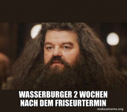 Hagrid - I should not have said that