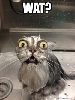 Cat bath