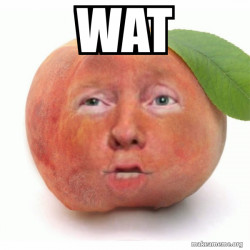 Impeached Donald Trump