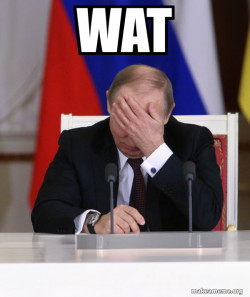 Putin Facepalm