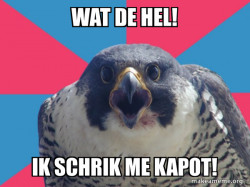 Millennial Falcon
