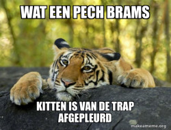 Confession Tiger