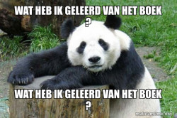 Confession Panda