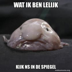 Blobfish