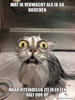 Cat bath