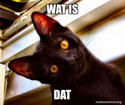 Overly Attached Cat