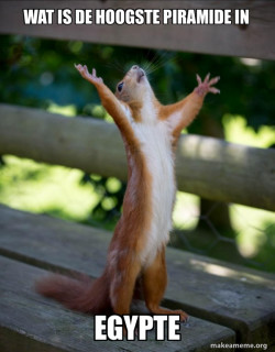 Happy Squirrel