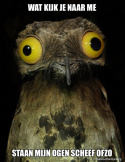 Weird Stuff I do Potoo