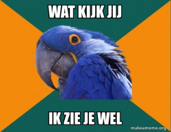 Paranoid Parrot