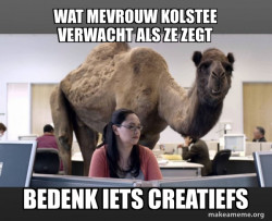 Hump Day Camel