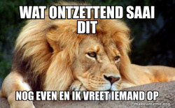 Confession Lion