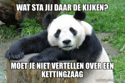 Confession Panda