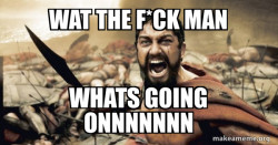 The 300