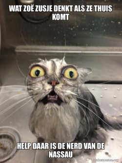 Cat bath