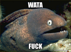 Bad Joke Eel