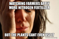First World Problems