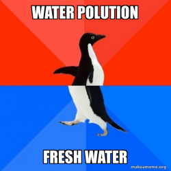 Socially Awesome Awkward Penguin
