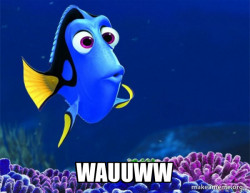 Dory from Nemo  (5 second memory)