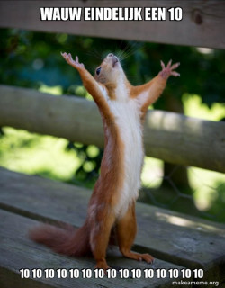 Happy Squirrel